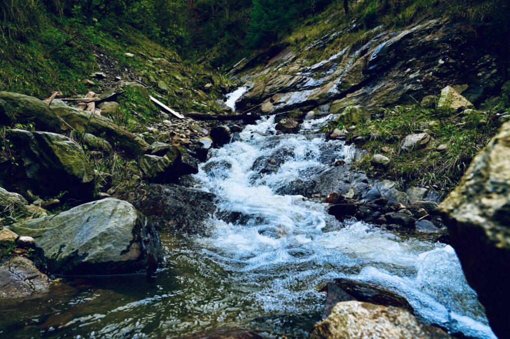 Kheerganga Trek